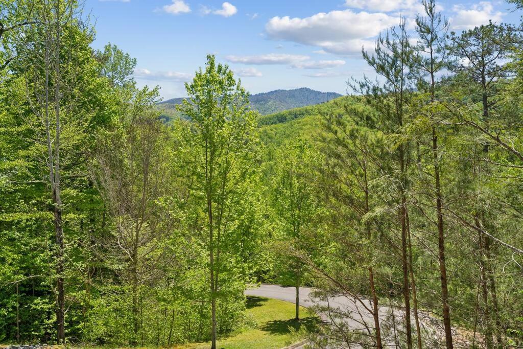 Baby Bear Den Vila Gatlinburg Exterior foto
